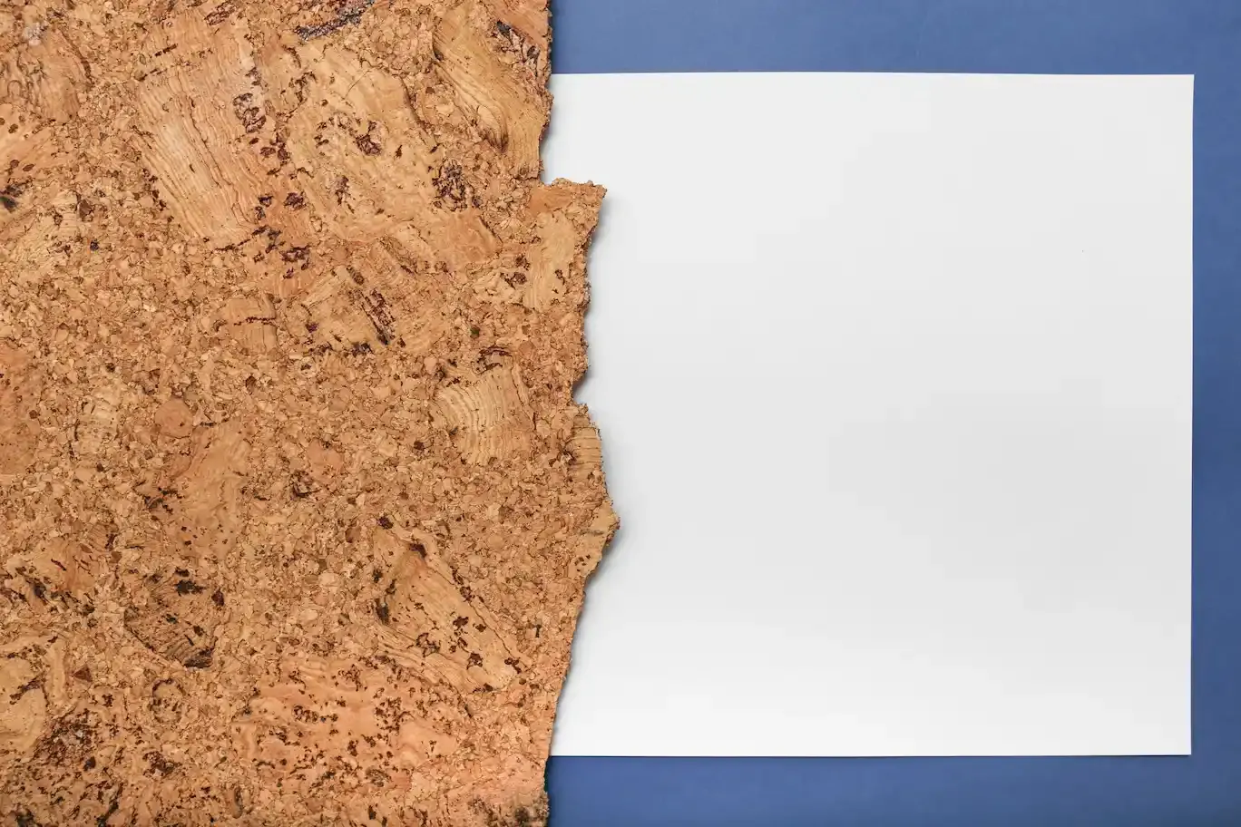 packaging sughero ecosostenibile