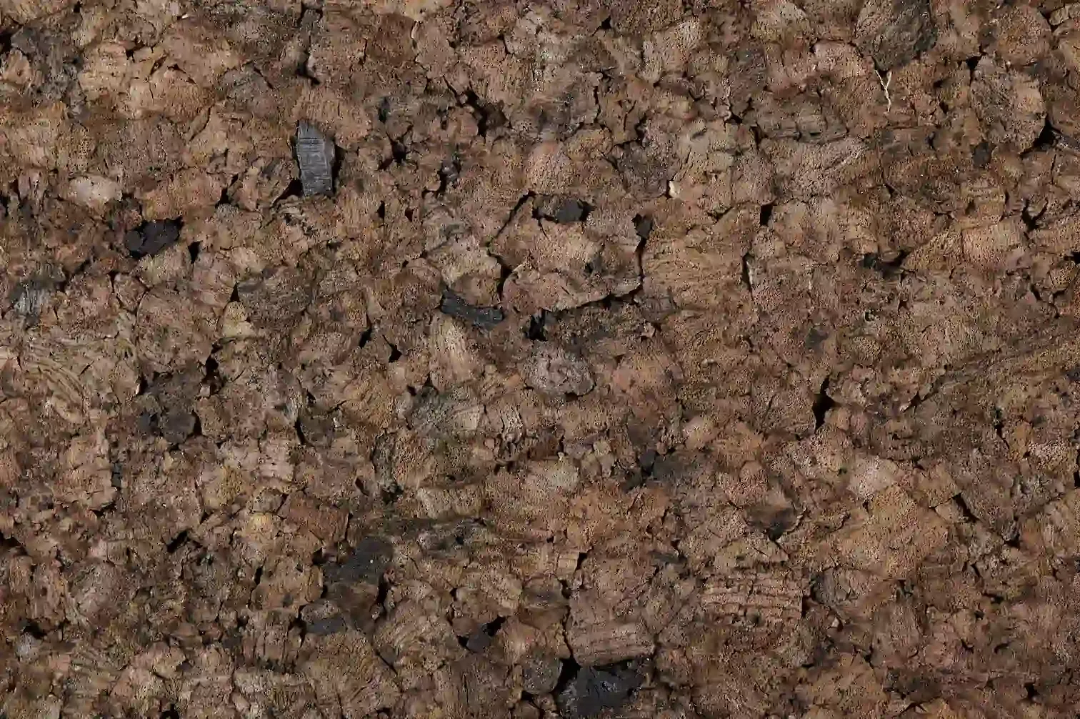 Produzione di sughero bruno